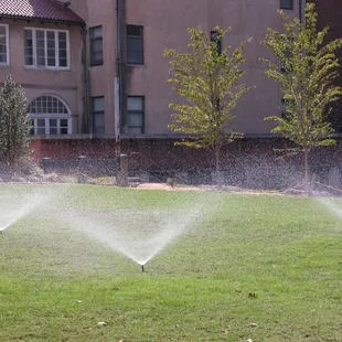 sprinklers in the grass