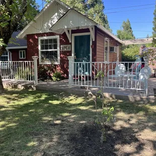 New apple tree in front of Birch cabin