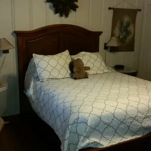 Birch room. First time here.