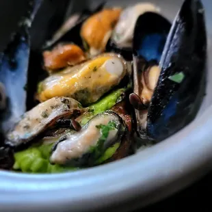 8/21/23 Chef&apos;s Tasting Menu- East Coast Shellfish. Herb Grilled mussels. Very tasty