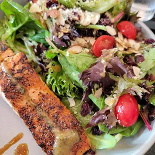 Salmon Salad