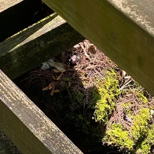 C HB Gvl c  I'd!;r?;3334.4.;day  cvczerzts