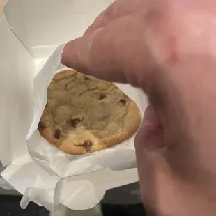 Fresh baked Chocolate Chip Cookie