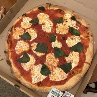 Margherita Pizza