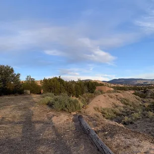 Another view from the back area of the patio