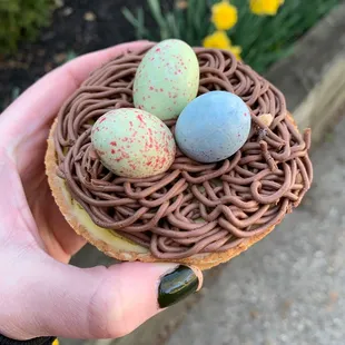*SEASONAL* nests