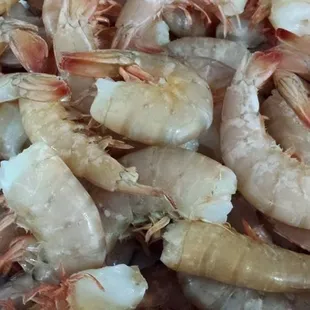 Wild Fresh Never Frozen  Florida Shrimp