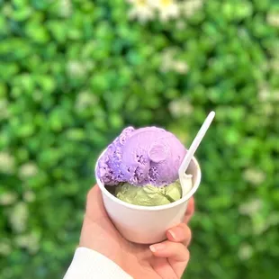 Lavender and Matcha Gelato.