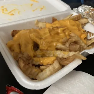 Cheese Fries