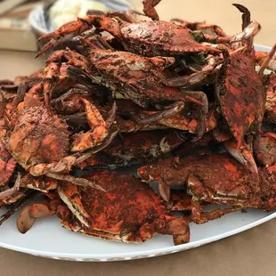 Crabs loaded onto a tray for rooftop crab party.