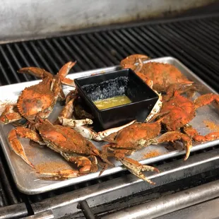 When you take Gaffney's back to your food truck and piss off all your customers...I gave them the address, what?‍