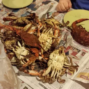 Here's a sample of the Awesome that is Gaffney's. Two thumbs up.