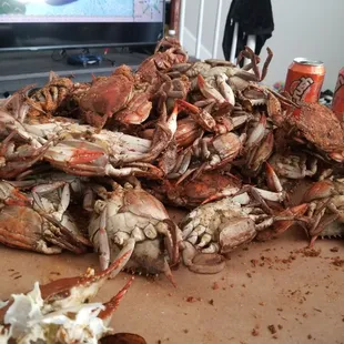 1/2 bushel female ....Amazing,Amazing..