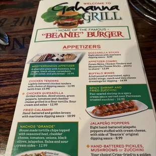 Mediterranean Appetizer Mozzarella Sticks Chicken Tenders Appetizer Combo Chicken Quesadilla Buffalo Wings Fried Calamari