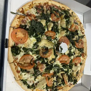 14&quot; Large Primavera Plus Pizza