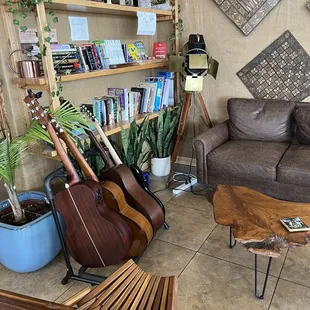 Guitars, library
