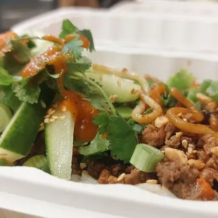 Dan Dan Noodle with Chicken/Beef