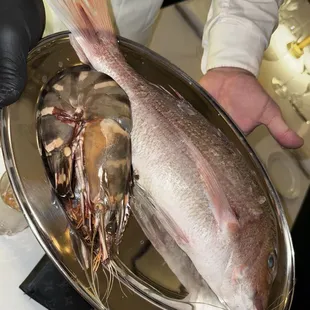 Jumbo prawn with whole fish cooked