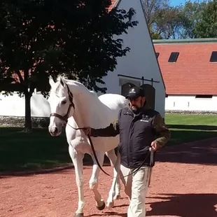 Tapit