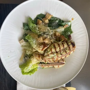 Cesar Salad