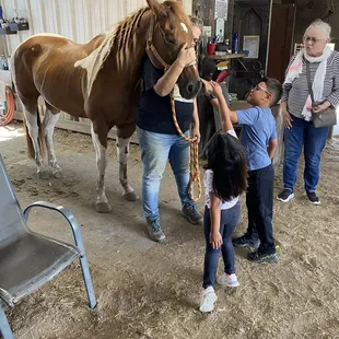 Grandkids first exposure to horses
