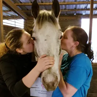 Our horses are very loved!!!