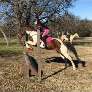 Ms. Jenny and her event-horse-in-training, Aria, at one of their off-property schoolings
