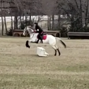 Students have the option to attend cross country schoolings and shows!