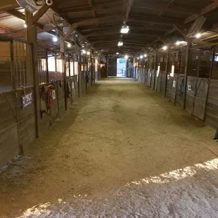 Our 16 stall barn has both 10'x14.5' interior stalls and 10'x12' stalls with run outs!