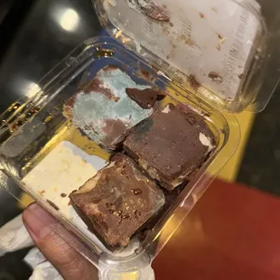 mold all over cheesecake