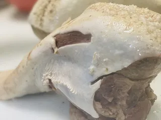 El Jalapeño Mexican Restaurant & Taqueria