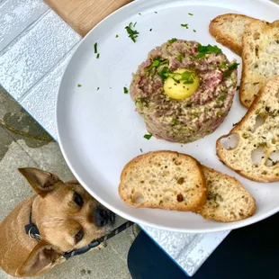 Pup friendly outdoor dining