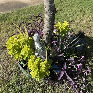 I love that we can express ourselves in our lot &amp; yard spaces.