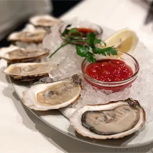 Oysters