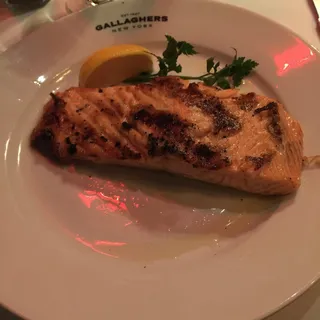 Scottish Salmon