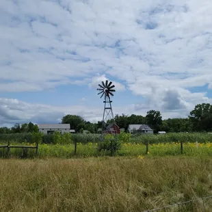Windmill and farm