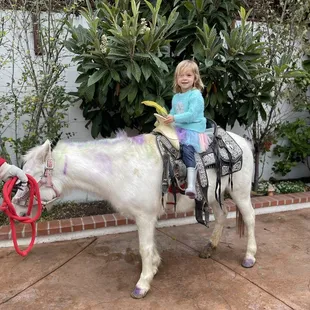 My daughter was obsessed with this unicorn!