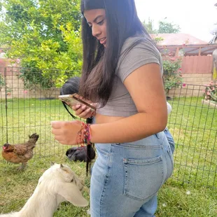 My older niece enjoying the furry guests!