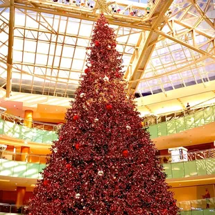 The photo doesn't do the tree justice!