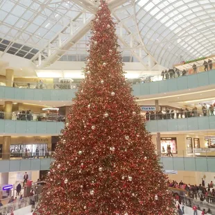 Favorite time of the year!