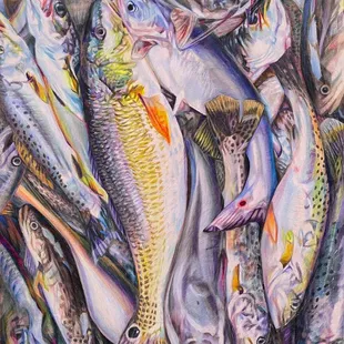 Carol Scott, Red Fish