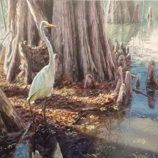 Mickey Asche, Cypress Strut