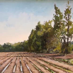 Chuck Broussard, Erwinville Shadows