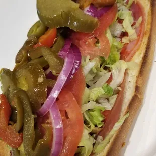 Yummy Italian Sub on white!