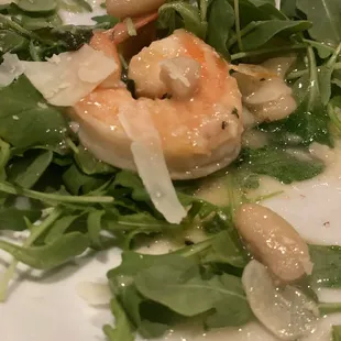 Shrimp Arugula Shrimp