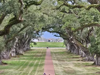 Oak Alley