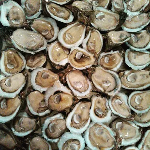 A dozen and little bit more