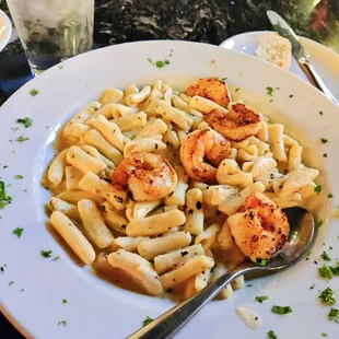 Cavatelli Alfredo with Shrimp