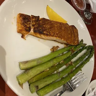 Completely Dried Out Slither of Salmon