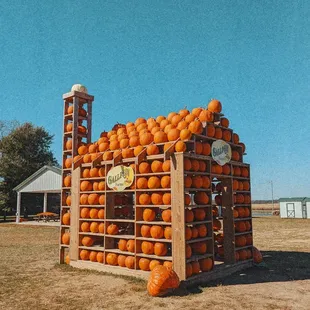 Pumpkins